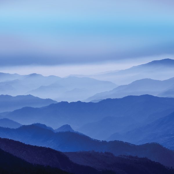 Misty landscape