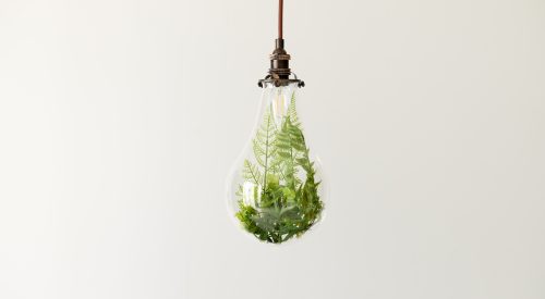 A photo of plants in a light bulb. Figurative visuals of green power, renewable energy and environmental protection.