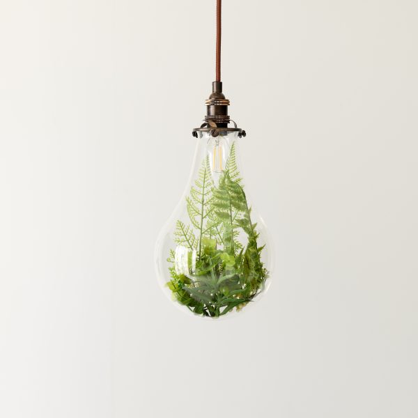 A photo of plants in a light bulb. Figurative visuals of green power, renewable energy and environmental protection.