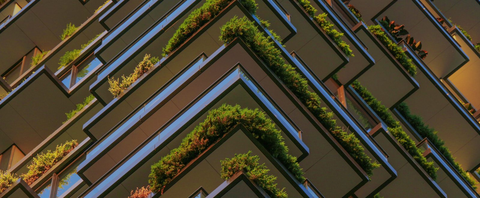 Full Frame Shot of Plants Hanging in the Balconies of a High Riser Building.