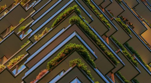 Full Frame Shot of Plants Hanging in the Balconies of a High Riser Building.