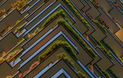 Full Frame Shot of Plants Hanging in the Balconies of a High Riser Building.