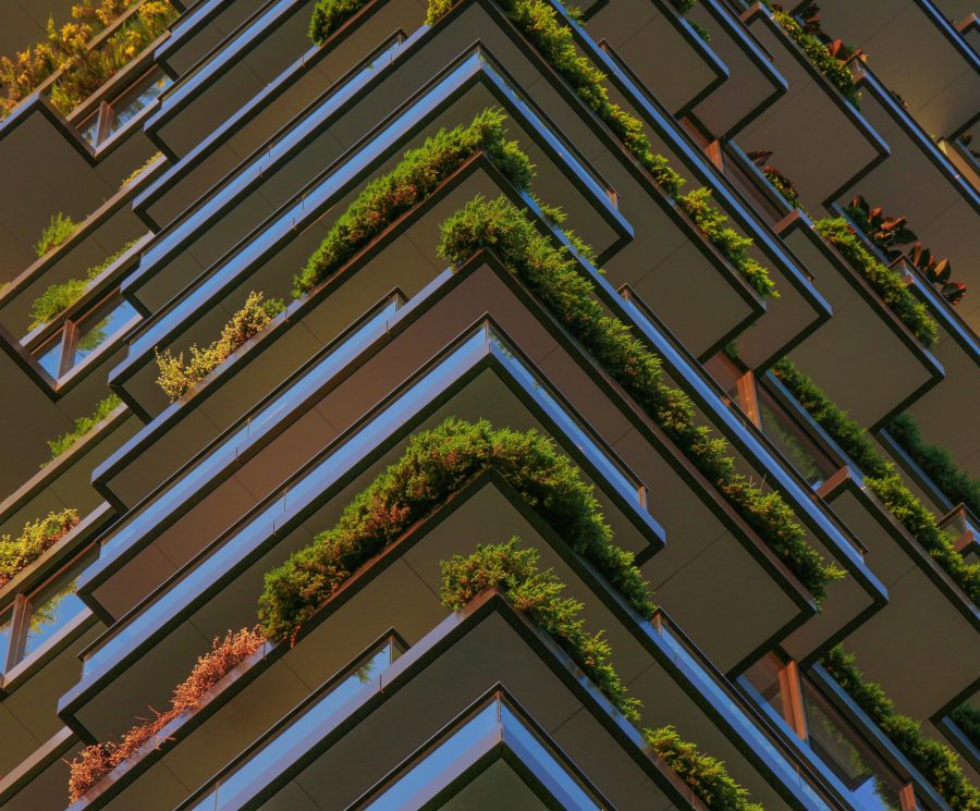 Full Frame Shot of Plants Hanging in the Balconies of a High Riser Building.