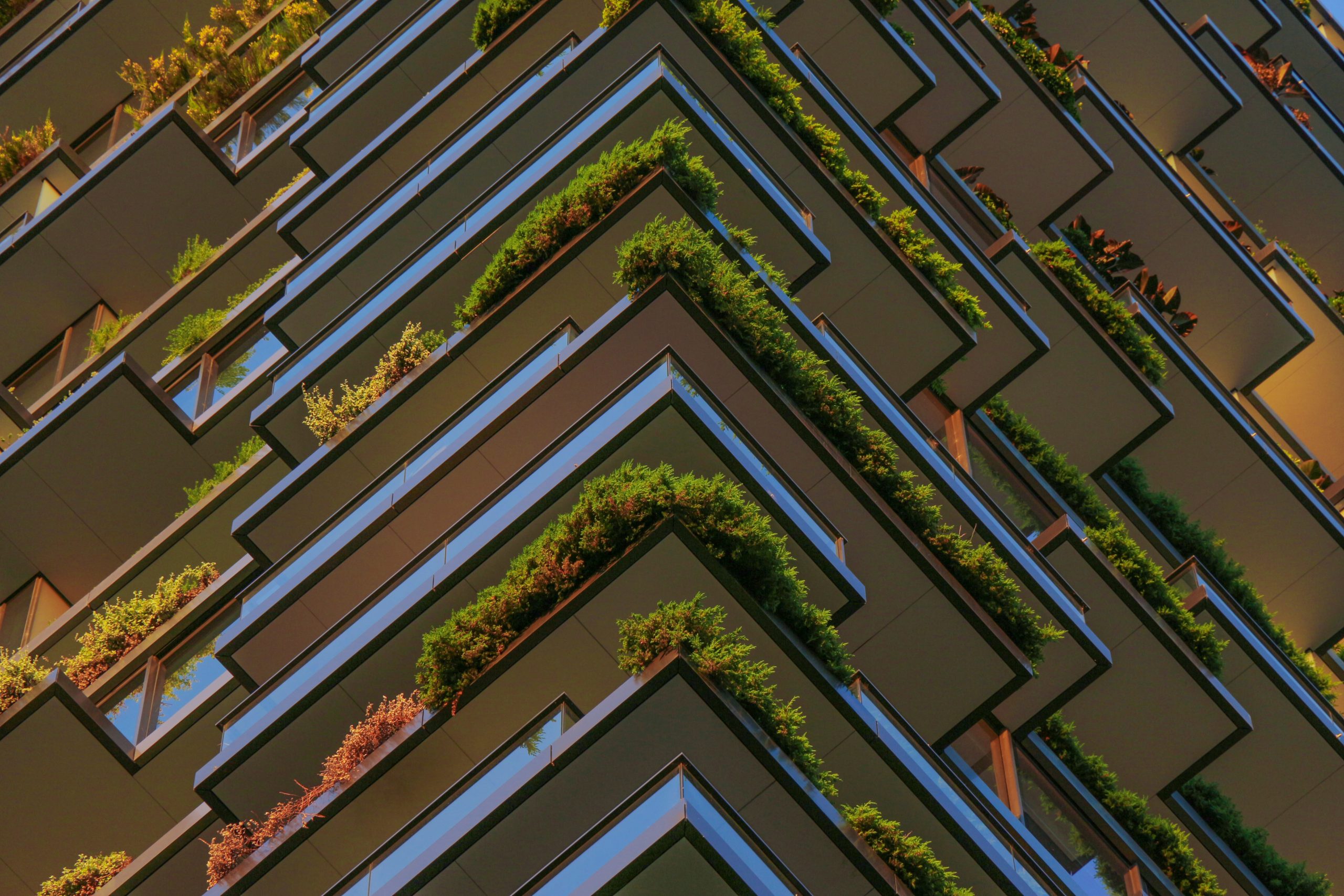 Full Frame Shot of Plants Hanging in the Balconies of a High Riser Building.