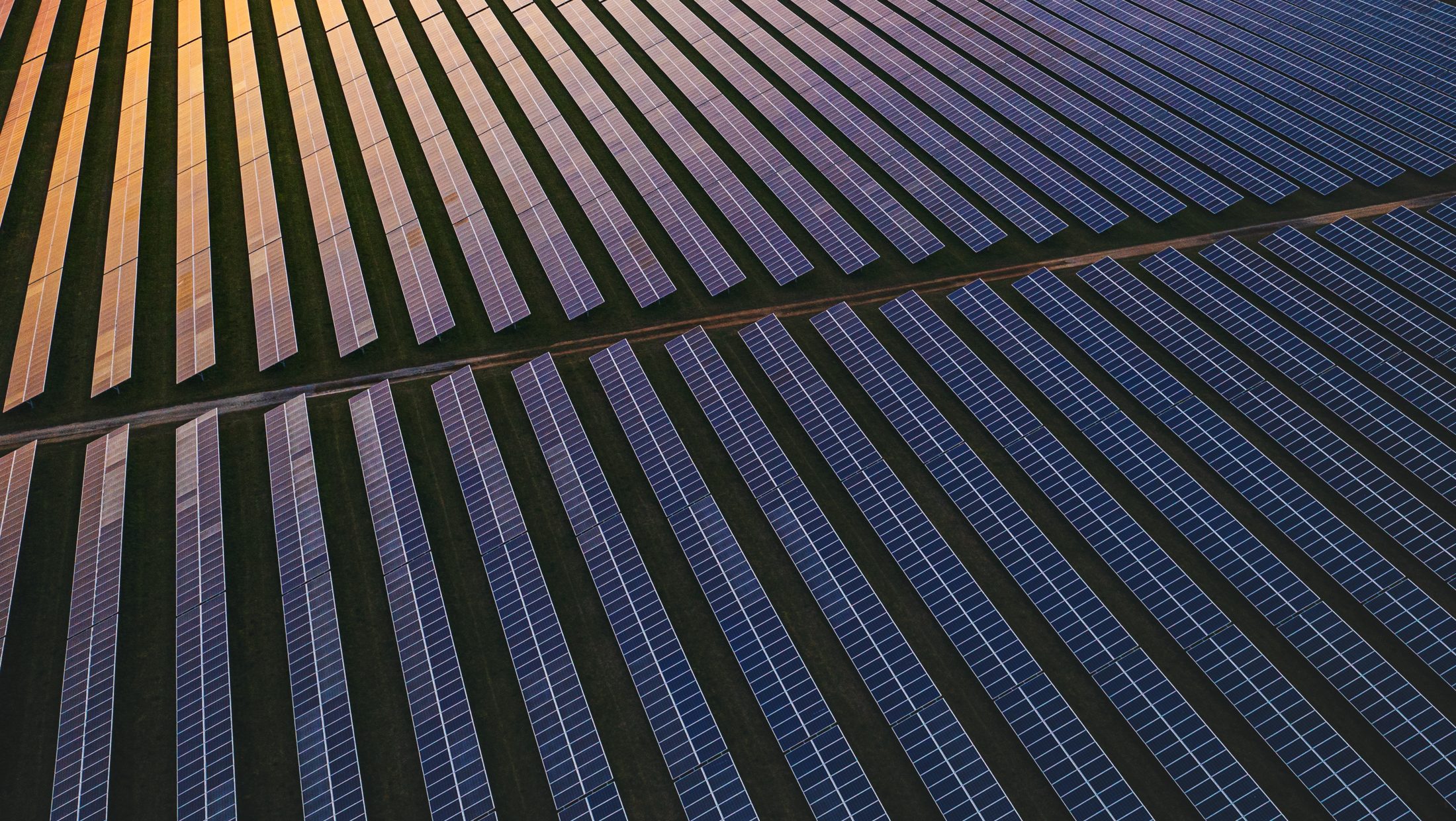 Solar panels at dusk