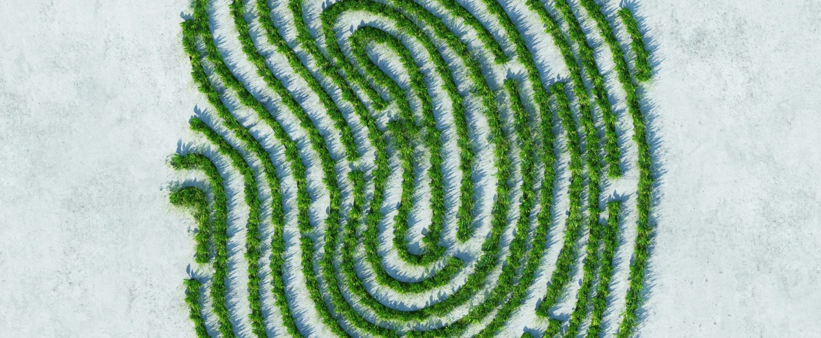 Green fingerprint