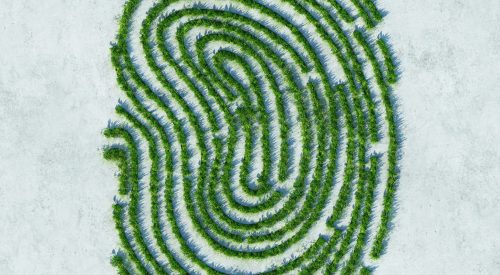 Green fingerprint