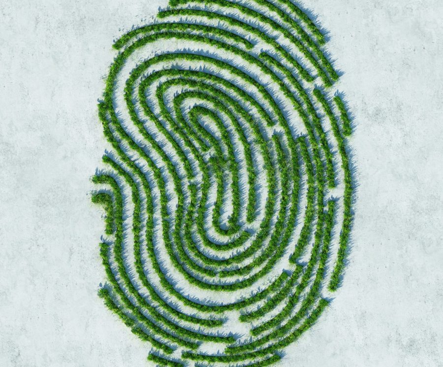 Green fingerprint