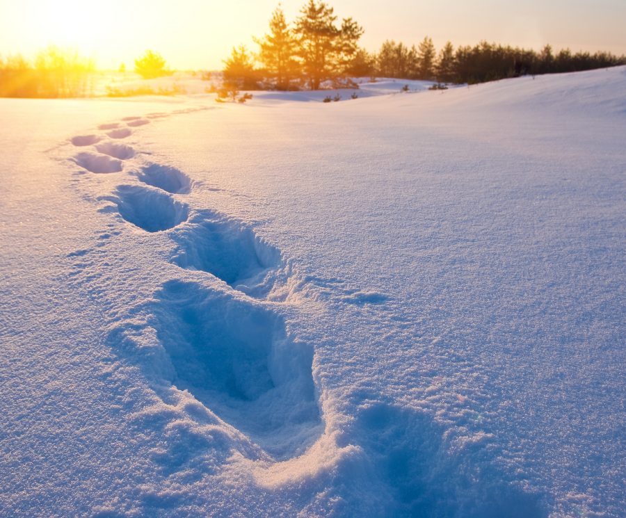 winter sunset