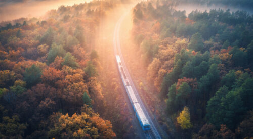 Train travelling through trees