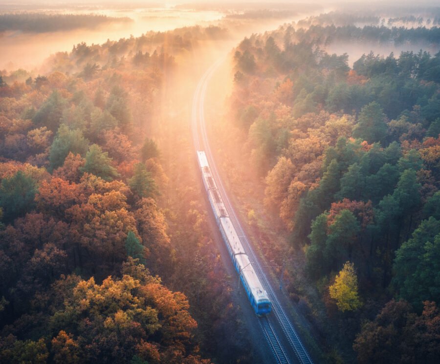 Train travelling through trees