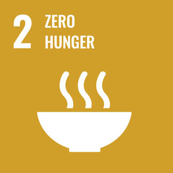 Icon representing United Nations Sustainable development Goal 2 (Zero Hunger)