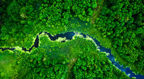 Amazing blooming algae on green river, aerial view